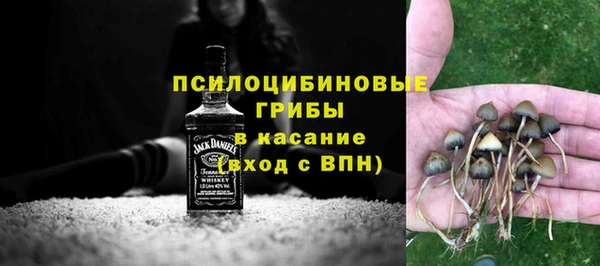 трава Арсеньев