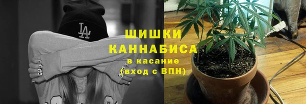 трава Арсеньев