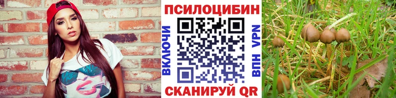 Галлюциногенные грибы Magic Shrooms  блэк спрут вход  Инсар 